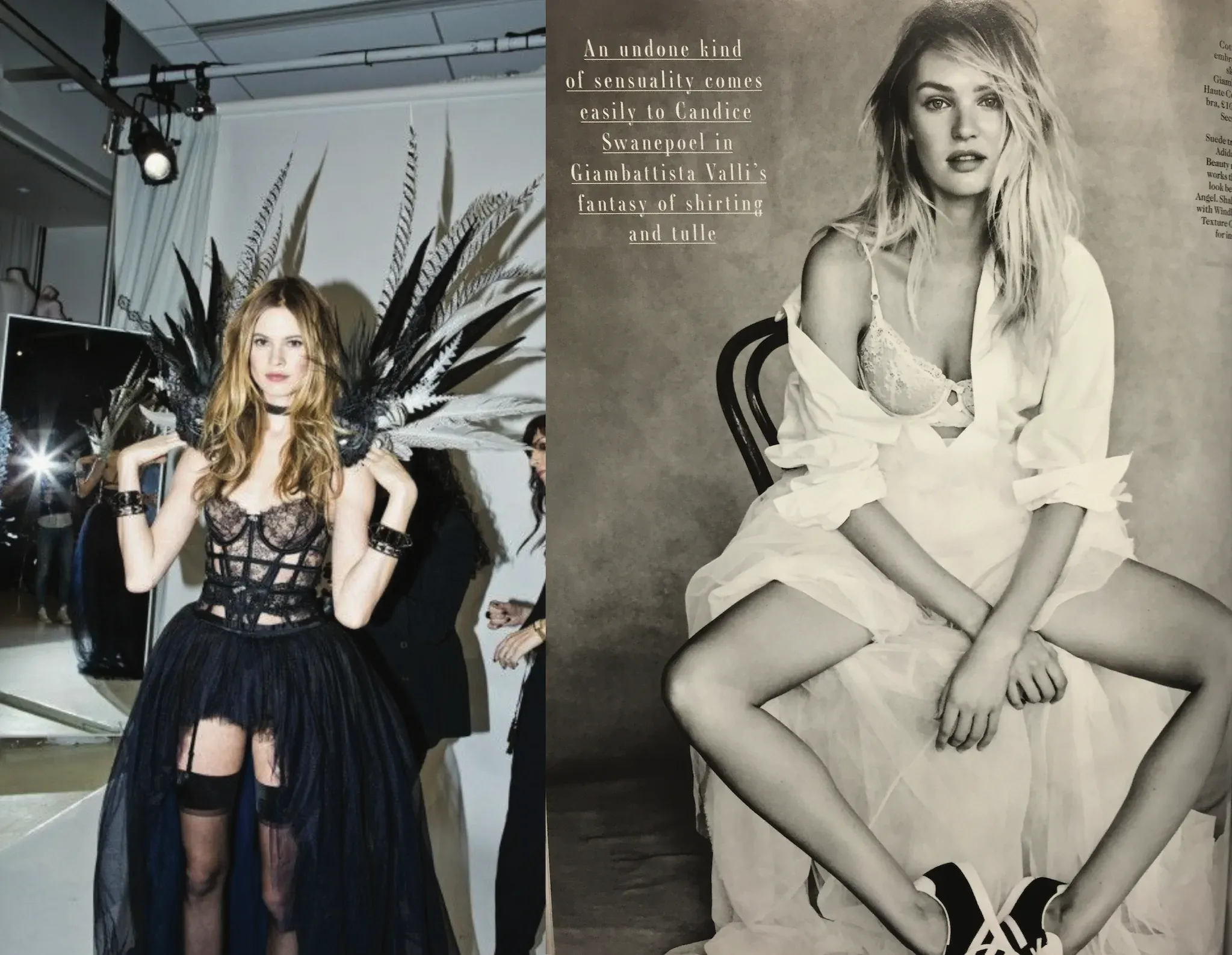 Victoria's Secret Designer Collection Collected Works